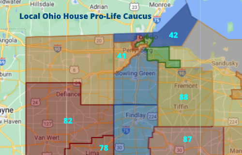 Image showing districts that have pro-life members